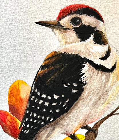 "Little Woodpecker" Illustration