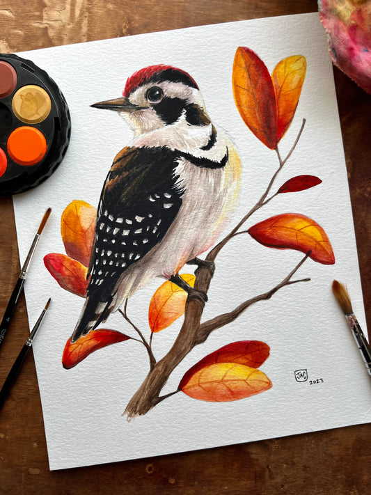 "Little Woodpecker" Illustration